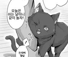 고양이 애교를 함부로 받아주면 안되는 이유.manga