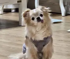 님들님들 ㅈㄴ 급함