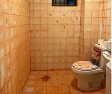 오렌지 셀프 인테리어 대참사.jpg