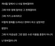 정체를 숨기고있는 디씨 원버갤러.jpg
