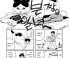 집고양이 분짱의 일년.manga