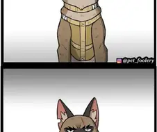 은퇴한 군견과 다 큰 고양이.manwha