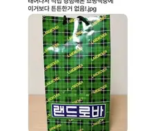 쇼핑백 내구도 GOAT .jpg