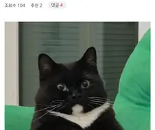 주식 너무 열심히 하면 안되는 이유.jpg