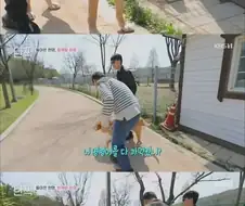 은퇴 후 업무능력을 상실한 안내견