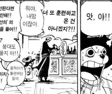 원피스) 쵸파가 가장 성가셔하는 환자