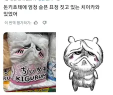 일본에서 발견된 특수한 치이카와