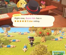 "드디어 동물의 숲 섬 평판을 5점으로 만들었어"
