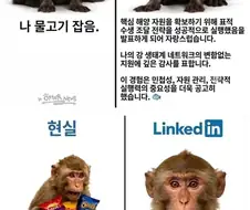 현실 vs 자소서
