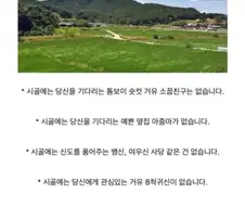 의외로 시골에 없는 것들.jpg