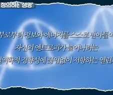분명 한글이고 한국어임