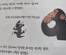 만화로 배우는 멸종과 진화