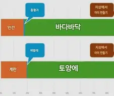 디오와 매미의 공통점