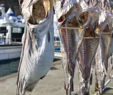 "중세 유럽을 공격하고 약탈하던 바이킹들의 전투식량"