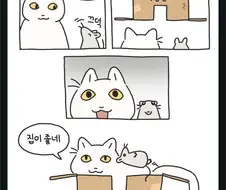 고양이를 집에 초대한 쥐