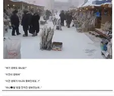 생태에서 동태가 되는 나라