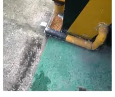 효과적인 캣맘 퇴치방법