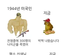 애송이 같은 누렁이