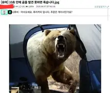 5분안에 곰을 찾지 못하면 죽습니다.