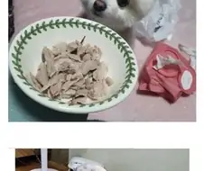 반려동물까지 챙겨주시는 사장님