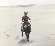 붉은사막을 둘러싼 말, 말, 말....