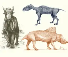 어느 고생물학 책의 진짜 내용들