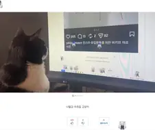 사이버 초파리 글 보면 생기는거