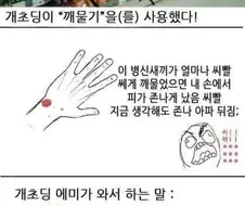 미친 개초딩 참교육