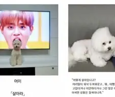 은근히 있는 소년 만화 클리셰.jpg