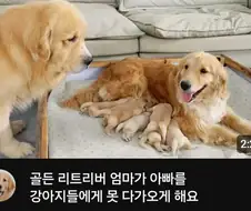 아빠가 왕따 당하는 가정