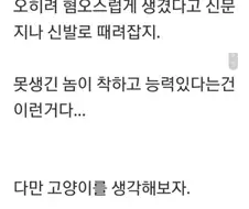 돈벌레와 고양이