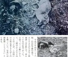 신사에 술을 바쳤더니 나타난 녀석들의 최후