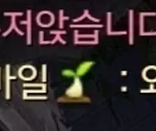 로아 뉴비 채팅 대참사.jpg