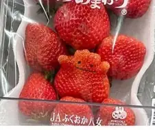 오토코노코가 되기로 함