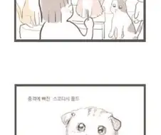 육포 먹고싶은 고양이 귀들어!.manhwa