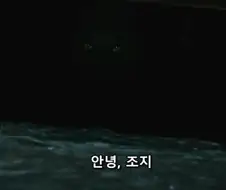 사람들이 사기꾼들에게 속는 이유