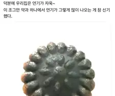 큰딸이 전자렌지에 돌린 것.jpg