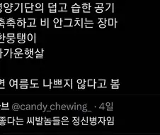 사실 여름... 나쁘지 않은거 아니야?
