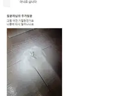 사마귀 에프킬라로 죽나요