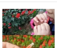 스스로 꿀빨았다고 인정하는 40, 50대