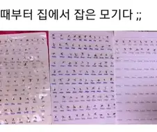 고2때부터 잡은 모기