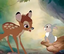 아기사슴 밤비가 버스를 타고가다 내린곳