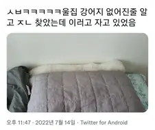 강아지 없어진줄 알고 ㅈㄴ 찾았는데