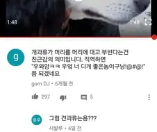 개과류가 머리를 부비는 건.jpg