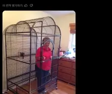 할머니는 자유야