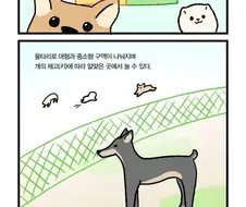 애견 공원의 대형견 만화