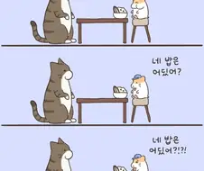 너 왜 밥 안 싸왔어!