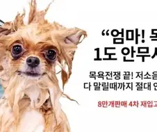 "엄마! 목욕이 1도 안무서워요"