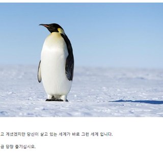 색스가 특별하지 않는 세상에 사는 만화.manwha