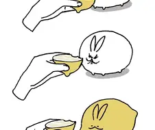반응 보겠다고 반려동물에게 레몬 먹이는 장난하면 안 되는 이유